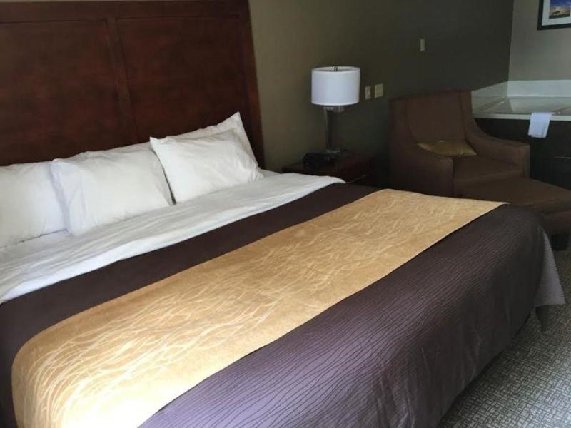 Quality Inn & Suites Salem Near I-57 Bagian luar foto