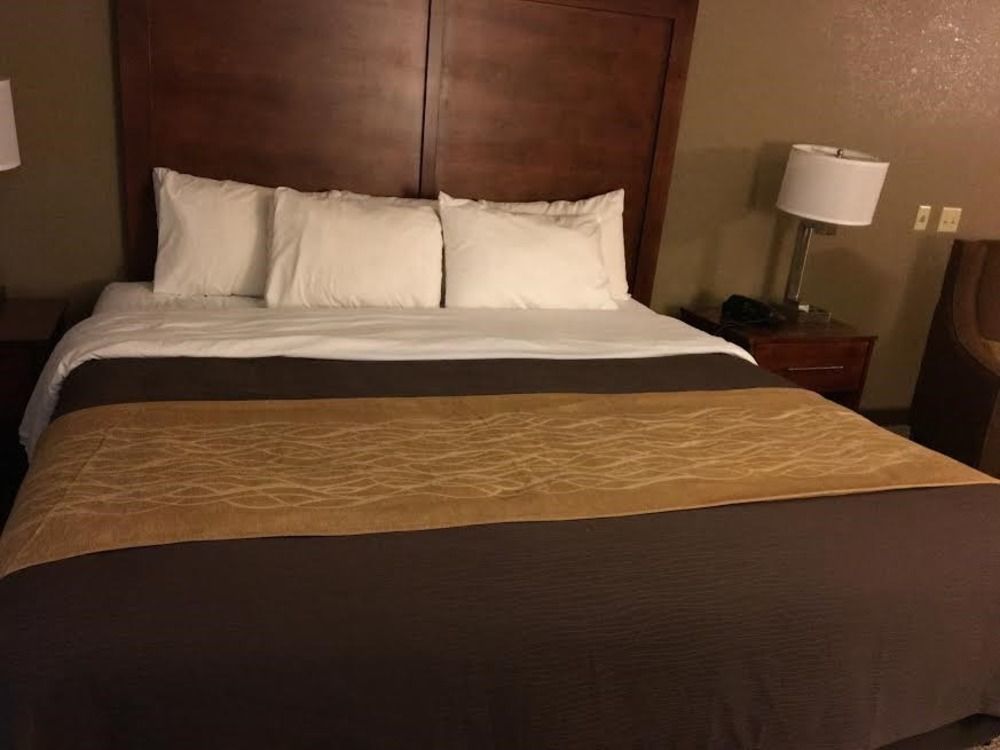 Quality Inn & Suites Salem Near I-57 Bagian luar foto