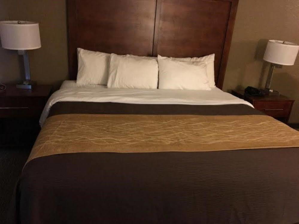 Quality Inn & Suites Salem Near I-57 Bagian luar foto